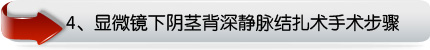 显微镜下阴茎背深静脉结扎术手术步骤