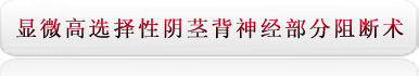 显微高选择性阴茎背神经部分阻断术