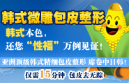 韩式微雕绣式光离子包皮