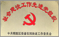 社会建设工作先进党组织
