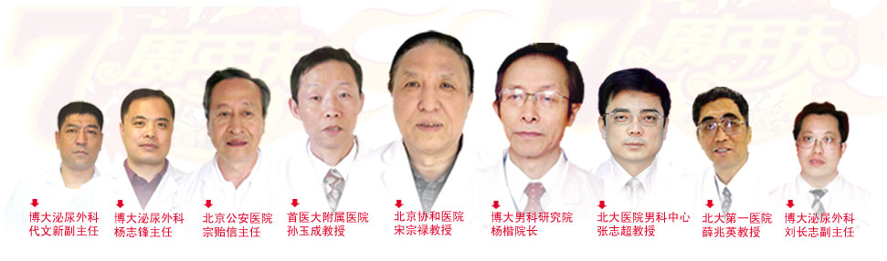 专家团队